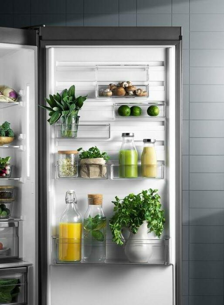 Electrolux ENT6ME19S Chladnička