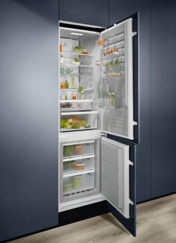 Electrolux ENT6ME19S Chladnička